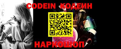 спиды Кингисепп