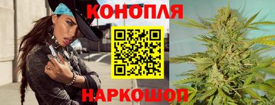 спиды Кингисепп