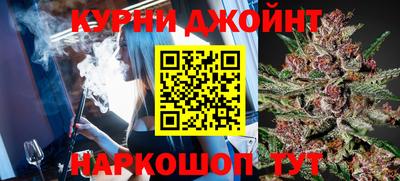 спиды Кингисепп