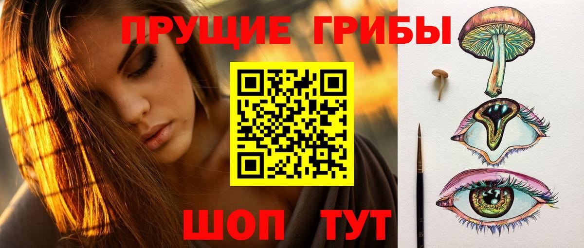 Химки  Галлюциногенные грибы Psilocybe  Вход с VPN 